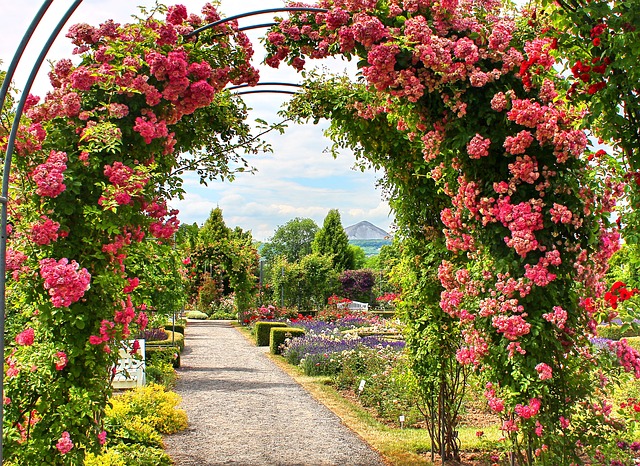 Rankgitter für den Garten Rankgitter für den Garten