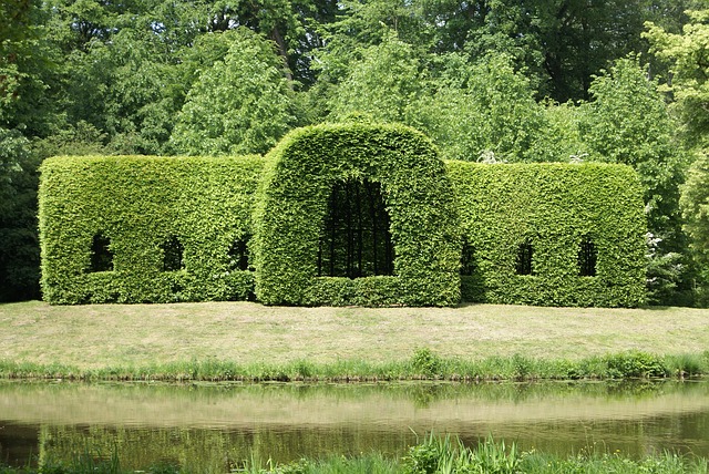 Hecke schneiden - Anleitung und bester Zeitpunkt Hecke schneiden - Anleitung und bester Zeitpunkt