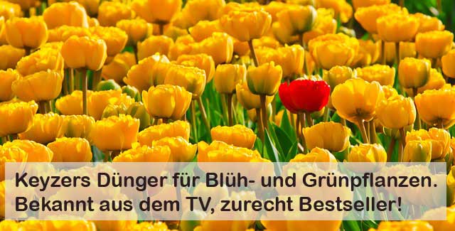 KEYZERS Dünger Test und Erfahrungen KEYZERS Dünger Test und Erfahrungen