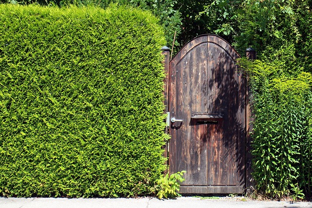 Anlegen einer Sichtschutzhecke im Garten Anlegen einer Sichtschutzhecke im Garten